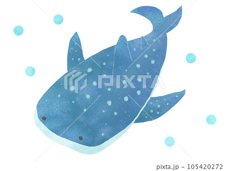 ゆっくり泳ぐジンベイザメのイラスト ゆっくり泳ぐジンベイザメのイラスト 105420272