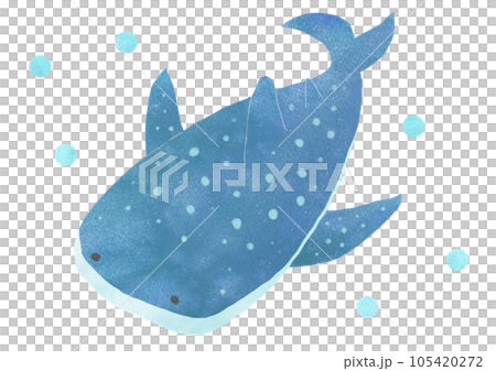 ゆっくり泳ぐジンベイザメのイラスト ゆっくり泳ぐジンベイザメのイラスト 105420272
