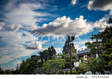 妙心寺の夏、隣華院、智勝院の白壁と夏空を眺める参道 105420840