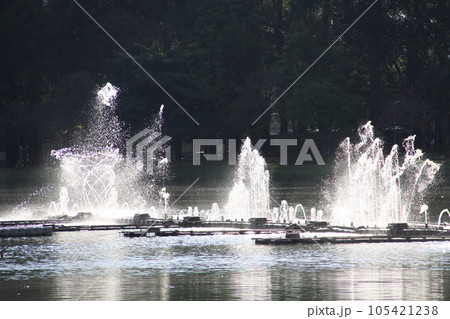 サンパウロ市にあるイビラプエラ公園内の噴水　ブラジル 105421238