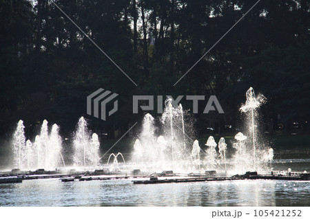 サンパウロ市にあるイビラプエラ公園内の噴水　ブラジル 105421252