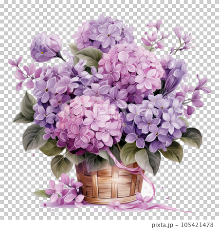 Watercolor lilac flowers bouquet isolated Watercolor lilac flowers bouquet isolated 105421478