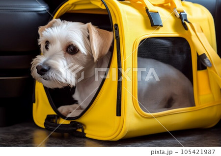 Dog sit yellow carrier. Travel vacation. Generate Ai 105421987