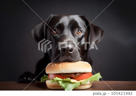 Black dog care hamburger. Dinner canine. Generate AI 105421992