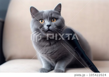 Cute smart cat near microphone record. Kitten voice. Generate Ai Cute smart cat near microphone record. Kitten voice. Generate Ai 105422024