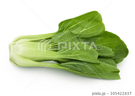 Fresh pak choi cabbage isolated on white background with full depth of field Fresh pak choi cabbage isolated on white background with full depth of field 105422837