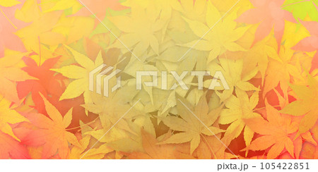 紅葉　秋イメージ素材 105422851