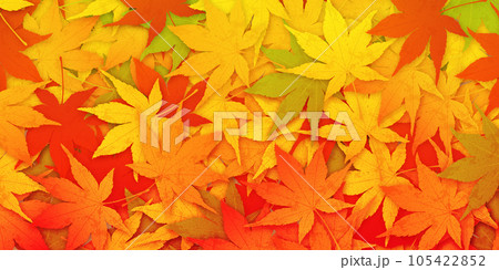 紅葉 秋イメージ素材 紅葉 秋イメージ素材 105422852