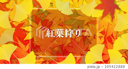 紅葉　秋イメージ素材 105422889