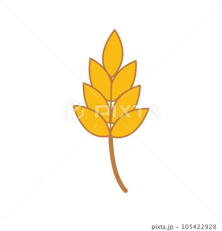 Vector farm wheat ears icon template. Line whole grain symbol illustration for organic eco business, agriculture, beer, bakery 105422928