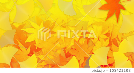紅葉したイチョウとモミジの葉 紅葉したイチョウとモミジの葉 105423108