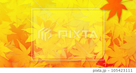 紅葉　秋イメージ素材 105423111