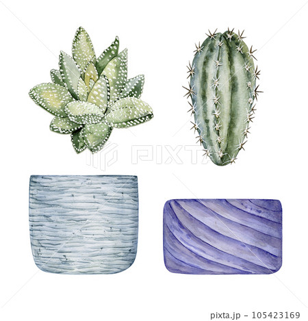 Set of clay pots and cute houseplants. Cactus and succulent. Watercolor illustration 105423169