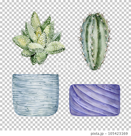 Set of clay pots and cute houseplants. Cactus and succulent. Watercolor illustration Set of clay pots and cute houseplants. Cactus and succulent. Watercolor illustration 105423169