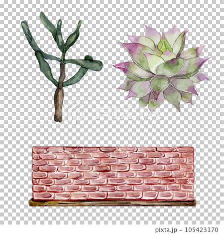 Set of succulents and clay pots. Cute home plants. High quality watercolor illustration Set of succulents and clay pots. Cute home plants. High quality watercolor illustration 105423170
