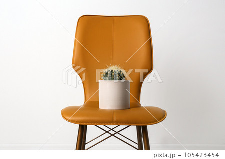 Chair with cactus on white background. Hemorrhoids concept 105423454