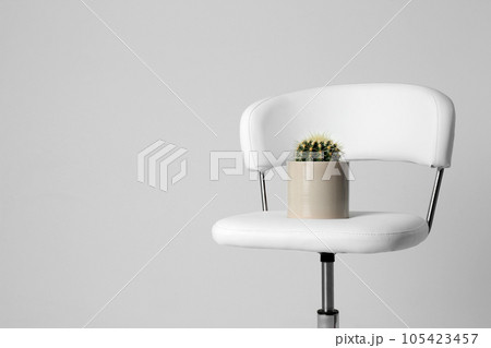 Chair with cactus isolated on white. Hemorrhoids concept 105423457