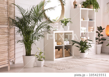 Elegant interior of modern bathroom with green plants 105423551