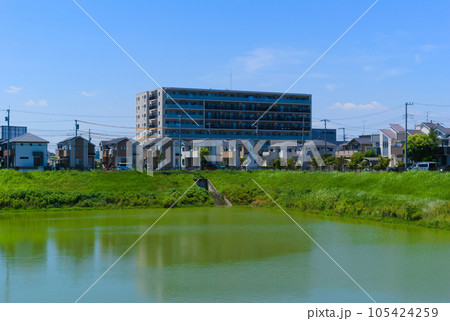 千葉県流山市木地区右岸調整池周辺2023年7月 千葉県流山市木地区右岸調整池周辺2023年7月 105424259