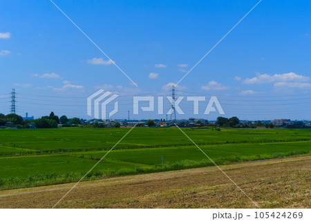 埼玉県吉川市加藤の田園風景2023年7月 埼玉県吉川市加藤の田園風景2023年7月 105424269