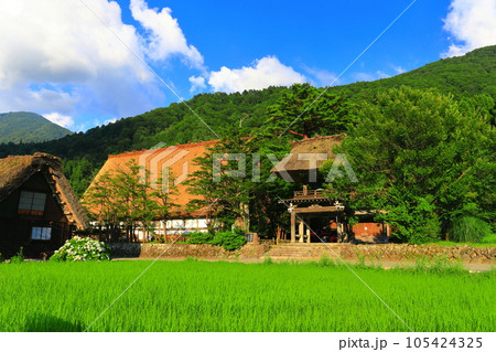 【岐阜県】晴天下の白川郷の明善寺庫裡（明善寺） 105424325