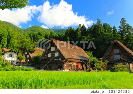 【岐阜県】晴天下の白川郷 【岐阜県】晴天下の白川郷 105424339