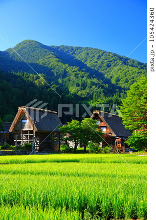 【岐阜県】晴天下の白川郷 【岐阜県】晴天下の白川郷 105424360