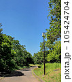 緑豊かな公園 105424704