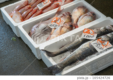 若狭湾の魚市場(4月) 若狭湾の魚市場(4月) 105424726