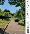 緑に包まれた私の散歩道 105424748