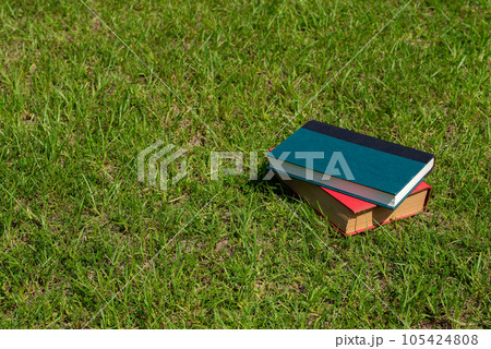休日に芝生の上で読む本 105424808