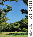 緑豊かな公園の風景 105424813