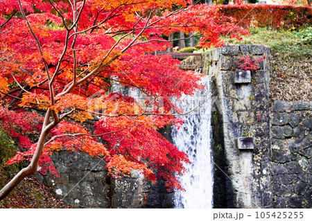 福島県郡山市・紅葉と麓山の滝 105425255