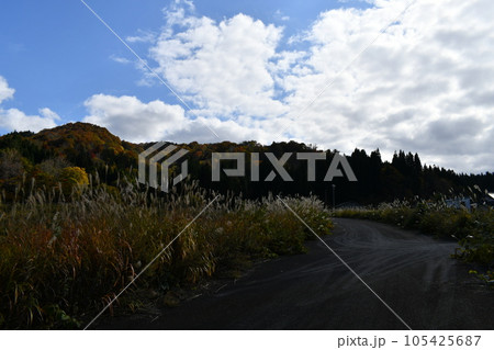 明るい空の下で暗く見える紅葉が色づいている小国の奥にある山 105425687