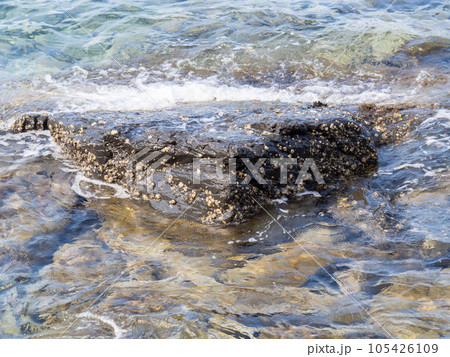 岩と透明な海。夏(7月)の穏やかな日本海の海岸。 105426109