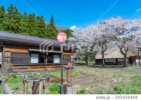 富山県五箇山 桜咲く春の菅沼合掌造り集落の中にある消火栓 富山県五箇山 桜咲く春の菅沼合掌造り集落の中にある消火栓 105426468
