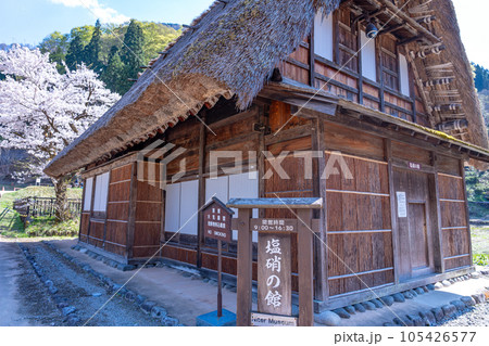 富山県五箇山　桜咲く春の菅沼合掌造り集落の中の塩硝の館 105426577
