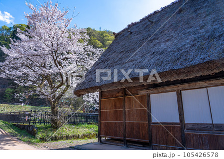 富山県五箇山　桜咲く春の菅沼合掌造り集落の中の塩硝の館 105426578