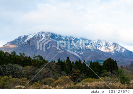 【日本百名山】旧日光小学校付近から見た初冬の大山2　鳥取県西伯郡伯耆町 105427676