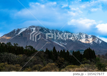 【日本百名山】旧日光小学校付近から見た初冬の大山3　鳥取県西伯郡伯耆町 105427677