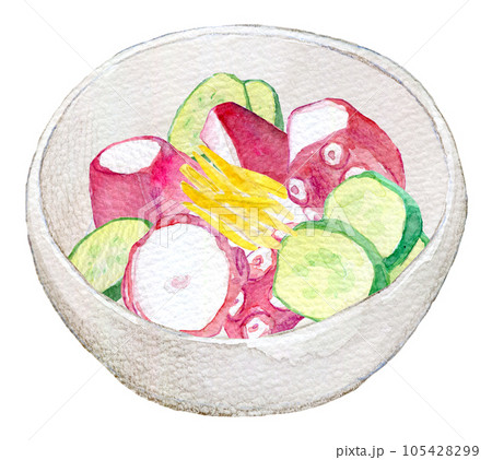 タコの酢の物　水彩イラスト 105428299