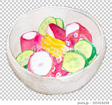 Vinegared octopus watercolor illustration 105428299