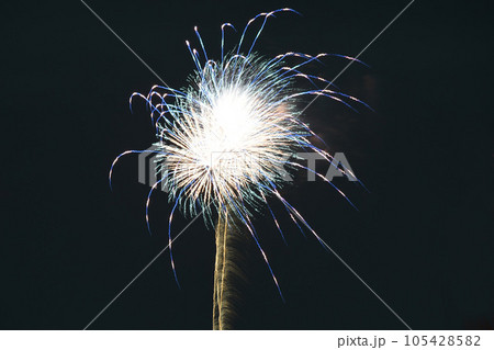 花火 花火 105428582