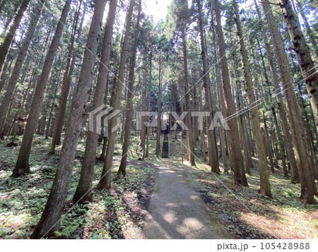 スラムダンクの聖地　森子大物忌神社の参道 105428988