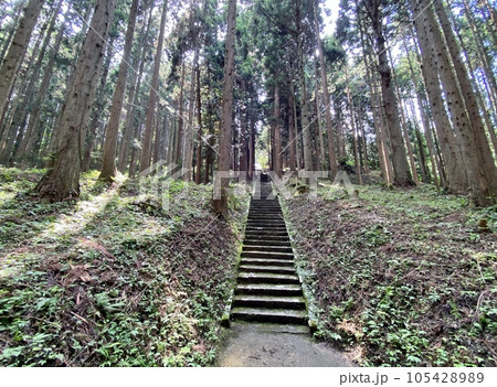 スラムダンクの聖地 森子大物忌神社の参道 スラムダンクの聖地 森子大物忌神社の参道 105428989