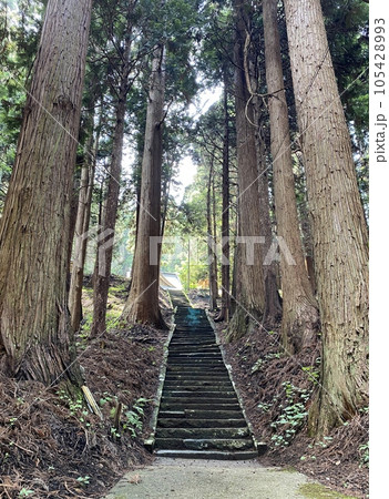 スラムダンクの聖地 森子大物忌神社の参道 スラムダンクの聖地 森子大物忌神社の参道 105428993