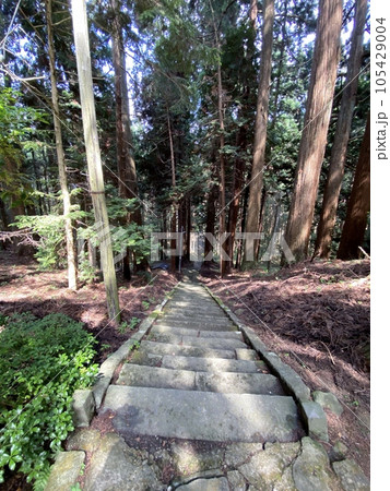 スラムダンクの聖地 森子大物忌神社の参道 スラムダンクの聖地 森子大物忌神社の参道 105429004