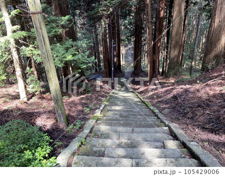 スラムダンクの聖地　森子大物忌神社の参道 105429006