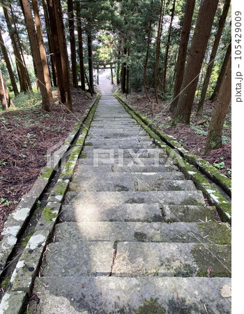 スラムダンクの聖地 森子大物忌神社の参道 スラムダンクの聖地 森子大物忌神社の参道 105429009