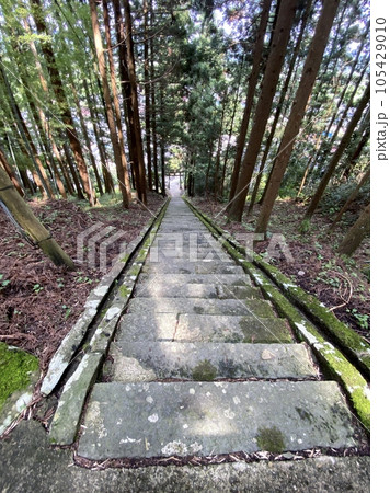 スラムダンクの聖地 森子大物忌神社の参道 スラムダンクの聖地 森子大物忌神社の参道 105429010